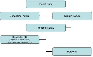 yonetim